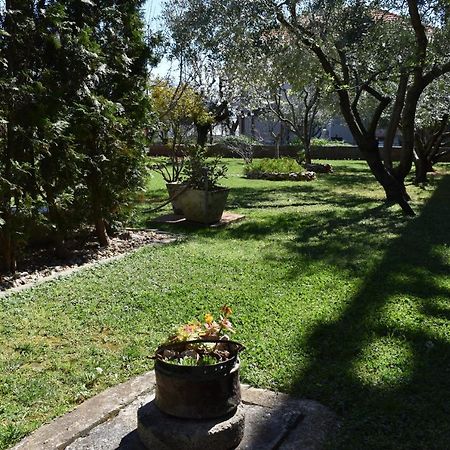 Apartman Dodo Zadar Buitenkant foto